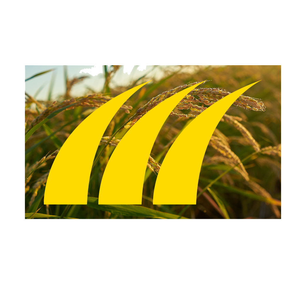 Filosofi Logo 1